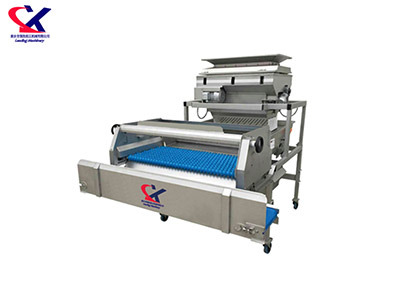 湖北振动式葡萄除梗机