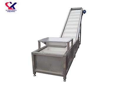 湖北刮板输送洗果机