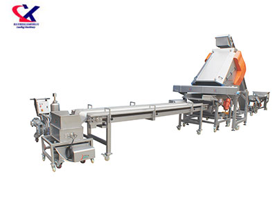 湖北葡萄除梗粒选生产线