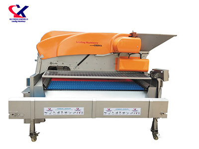 湖北链板式葡萄除梗粒选机