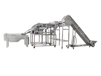 湖北百香果挖浆生产线