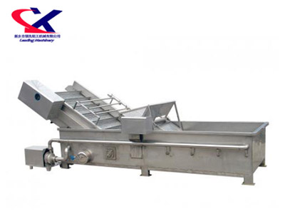 湖北火龙果洗果机