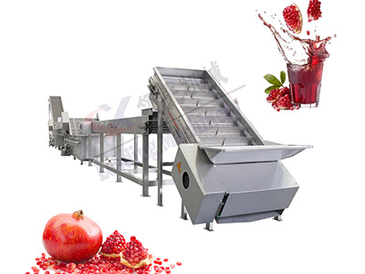 湖北石榴果酒生产线