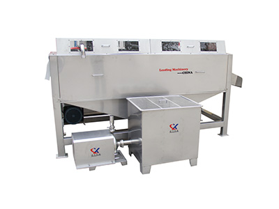 湖北百香果刷果机